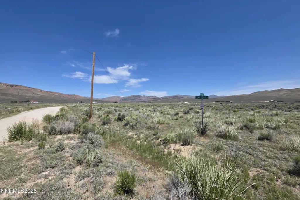 155 Lonestar Reno NV 89508