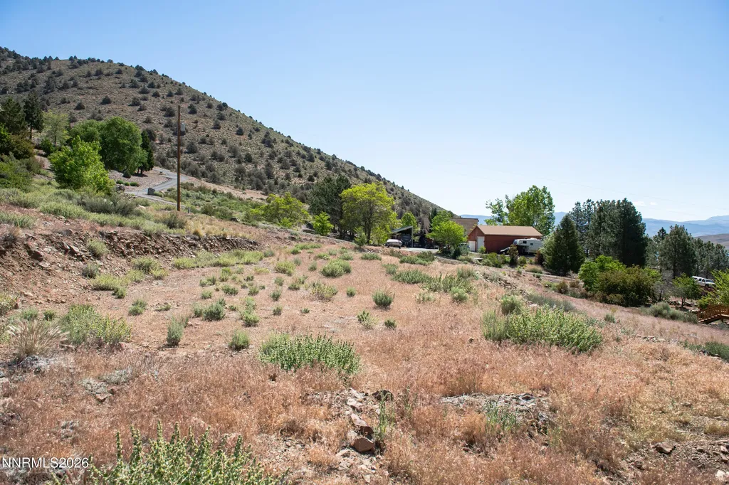1892 Austin Gardnerville NV 89410