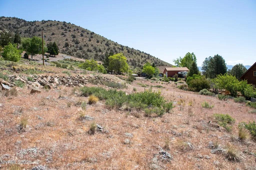 1892 Austin Gardnerville NV 89410