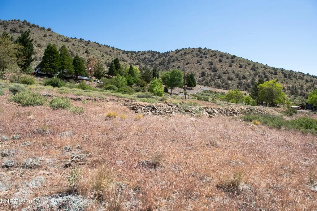 1892 Austin Gardnerville NV 89410