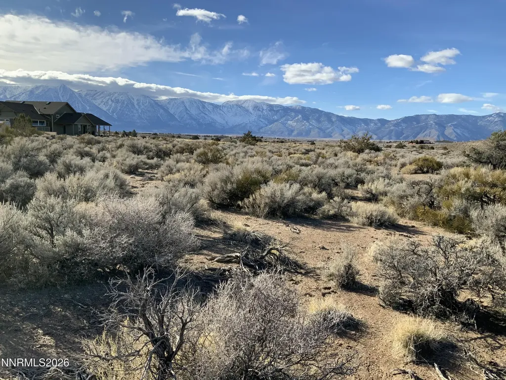 1290 Jo Gardnerville NV 89410