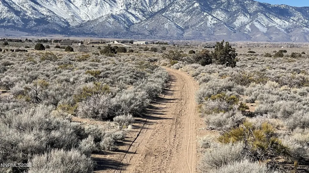 1290 Jo Gardnerville NV 89410