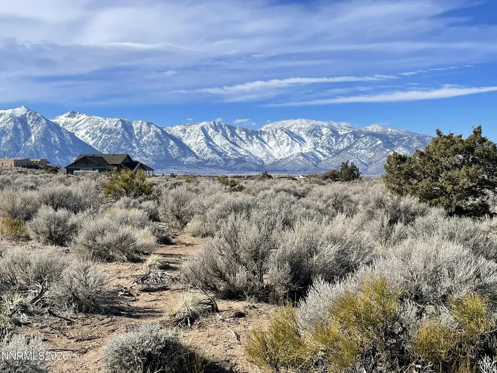 1290 Jo Gardnerville NV 89410
