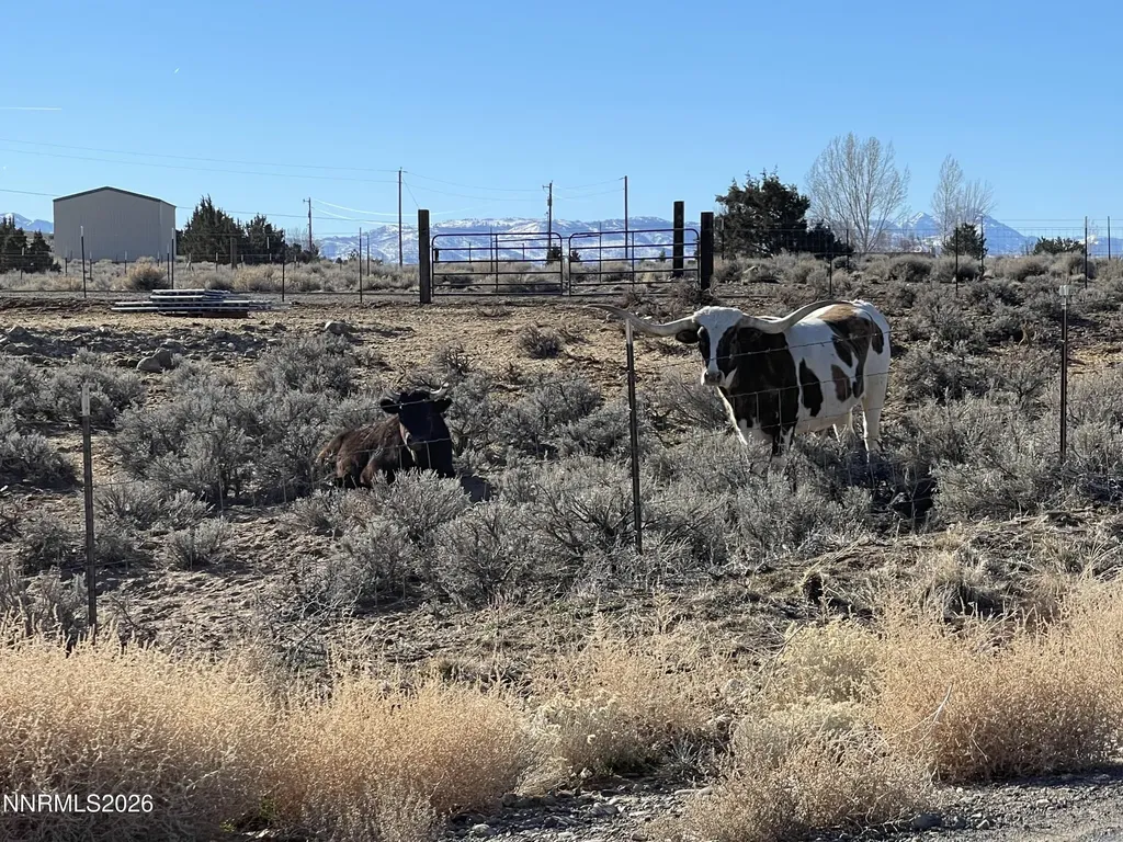 1290 Jo Gardnerville NV 89410