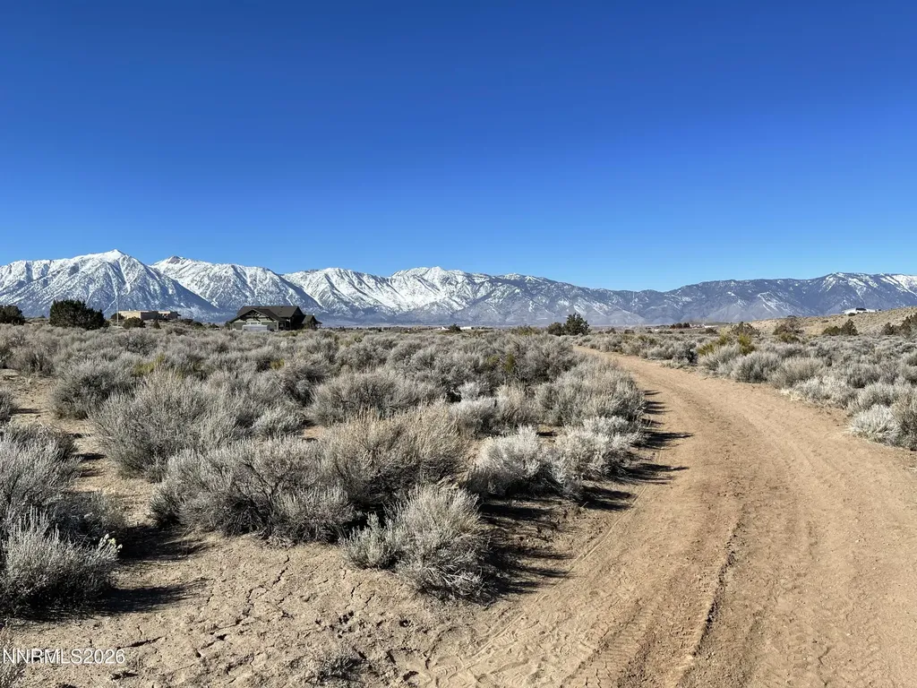 1290 Jo Gardnerville NV 89410