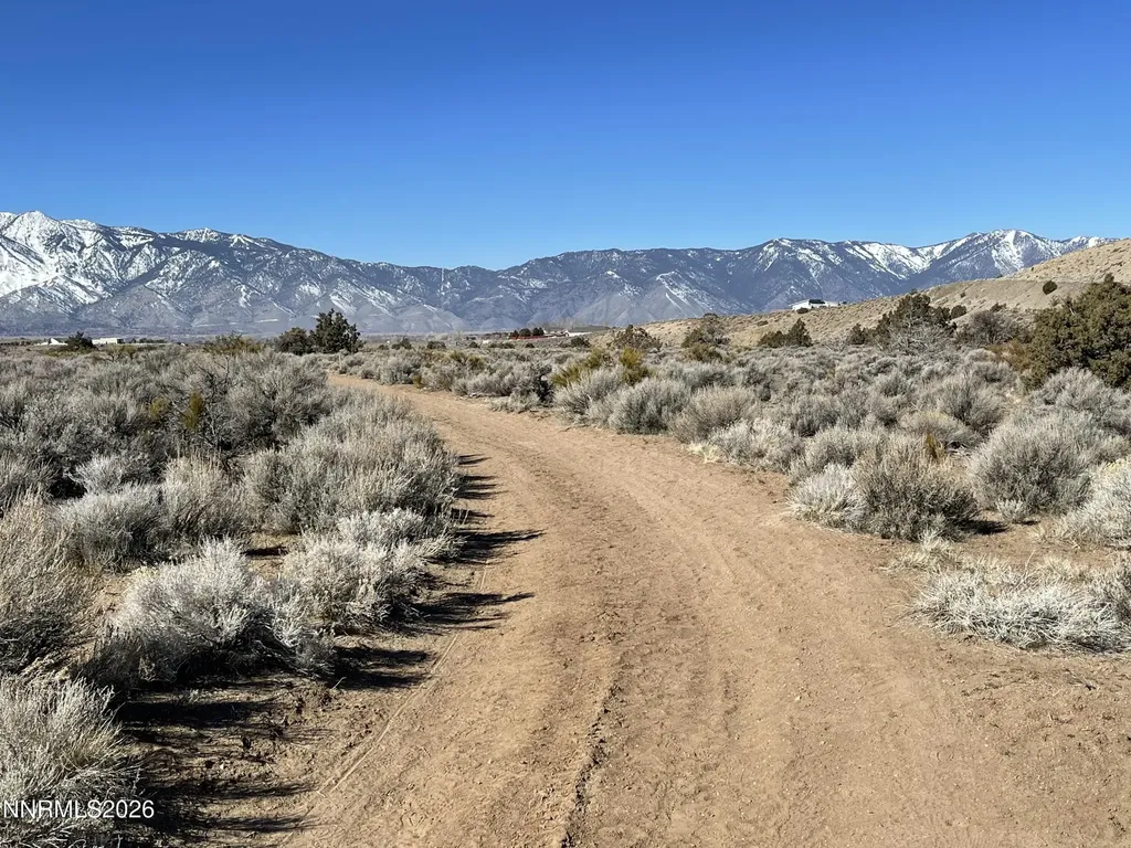 1290 Jo Gardnerville NV 89410