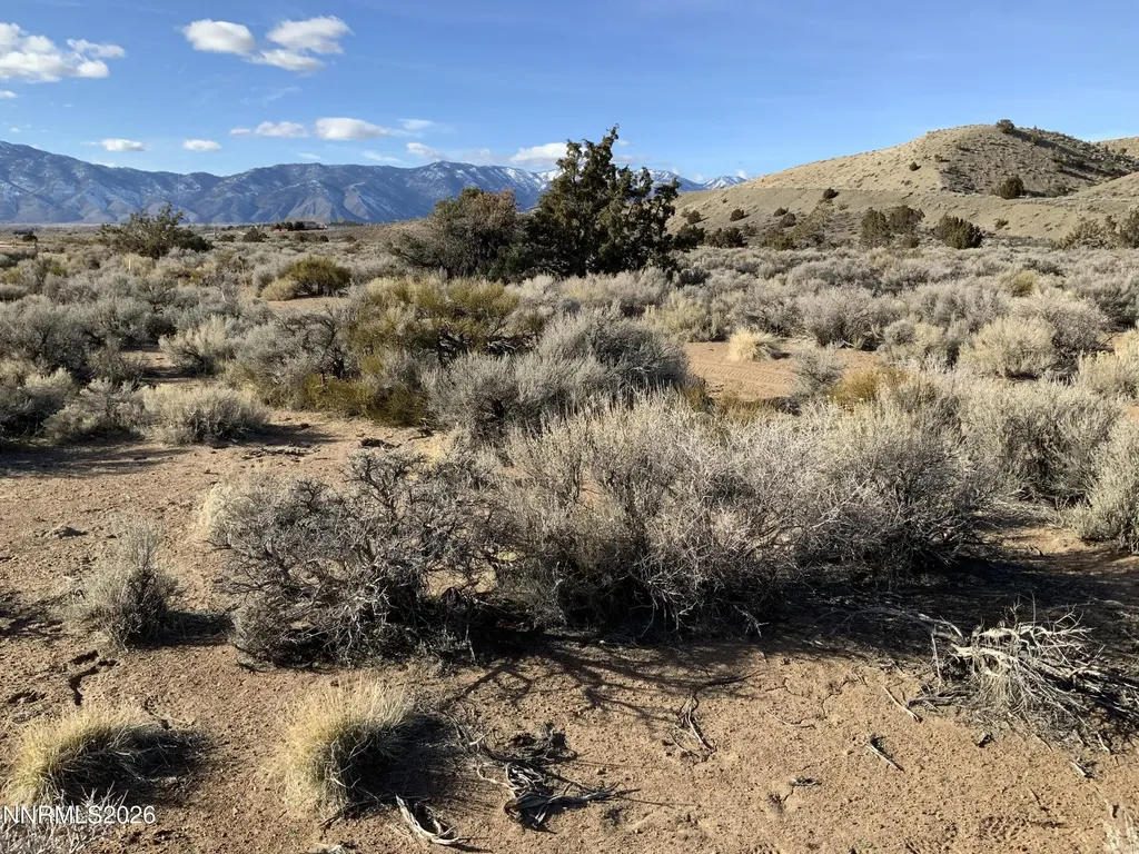 1290 Jo Gardnerville NV 89410