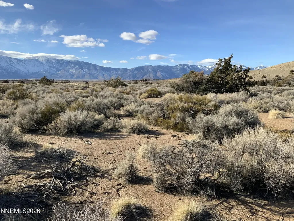 1290 Jo Gardnerville NV 89410