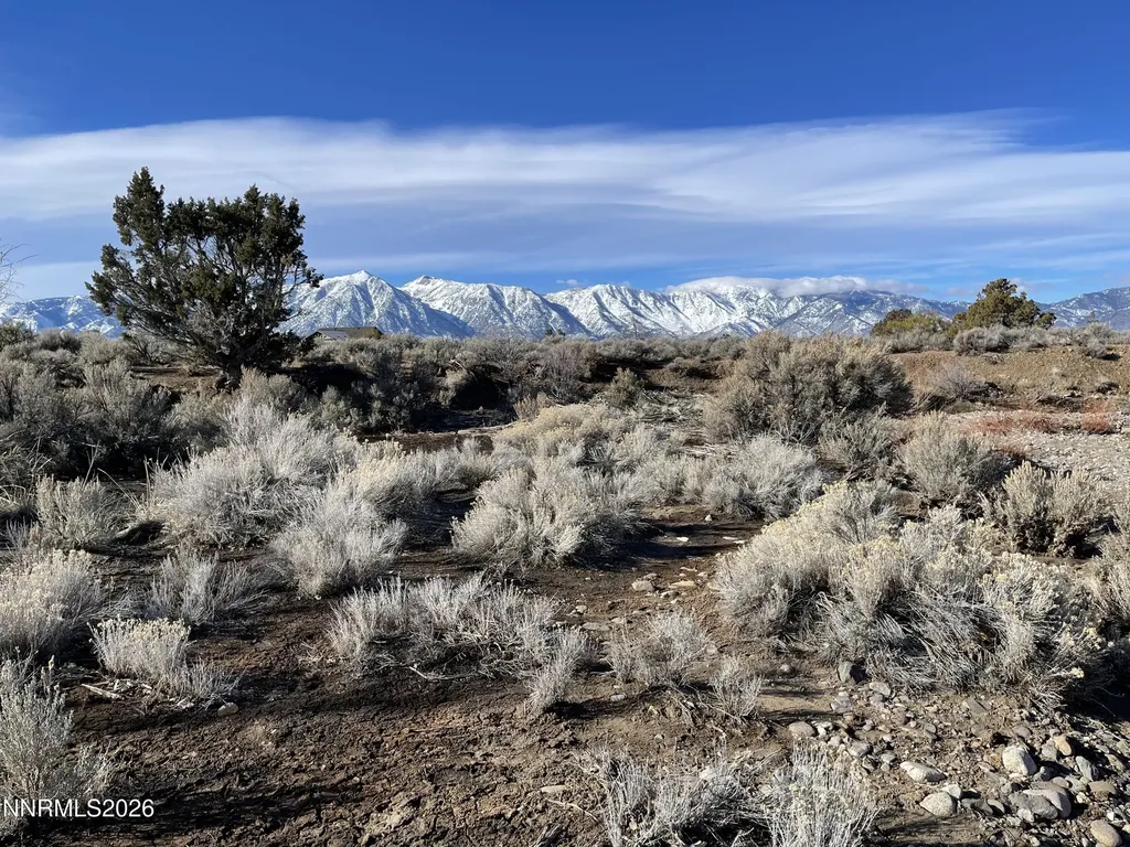 1290 Jo Gardnerville NV 89410