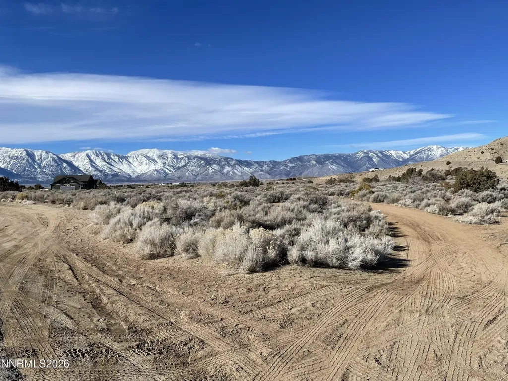 1290 Jo Gardnerville NV 89410