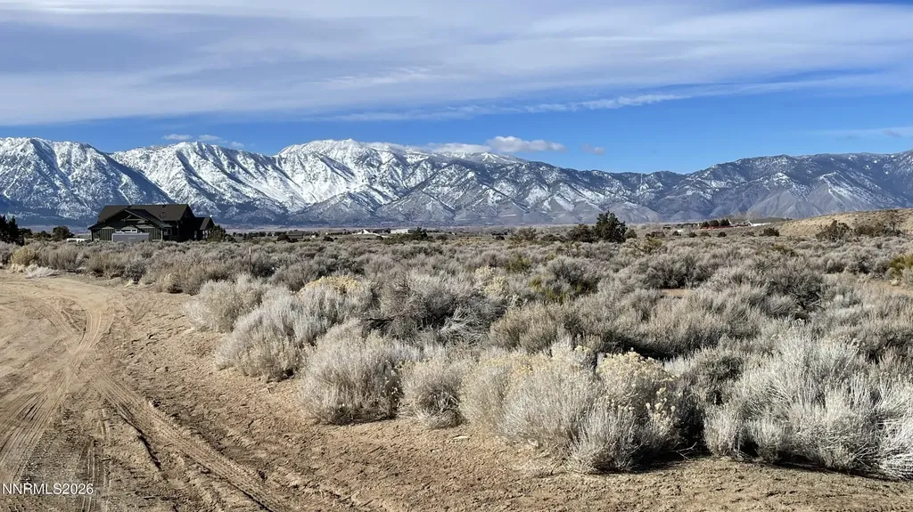 1290 Jo Gardnerville NV 89410