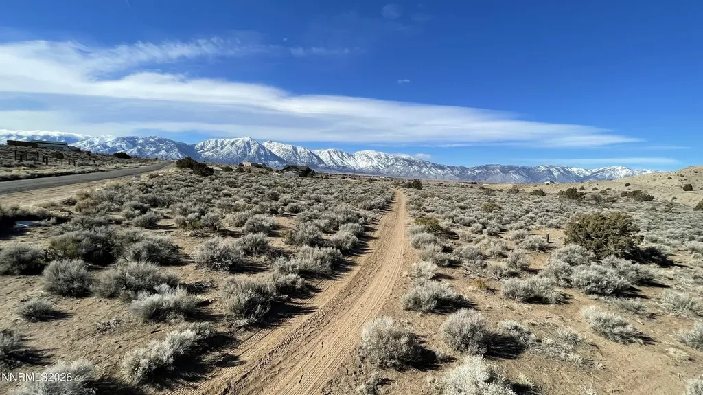 1290 Jo Gardnerville NV 89410