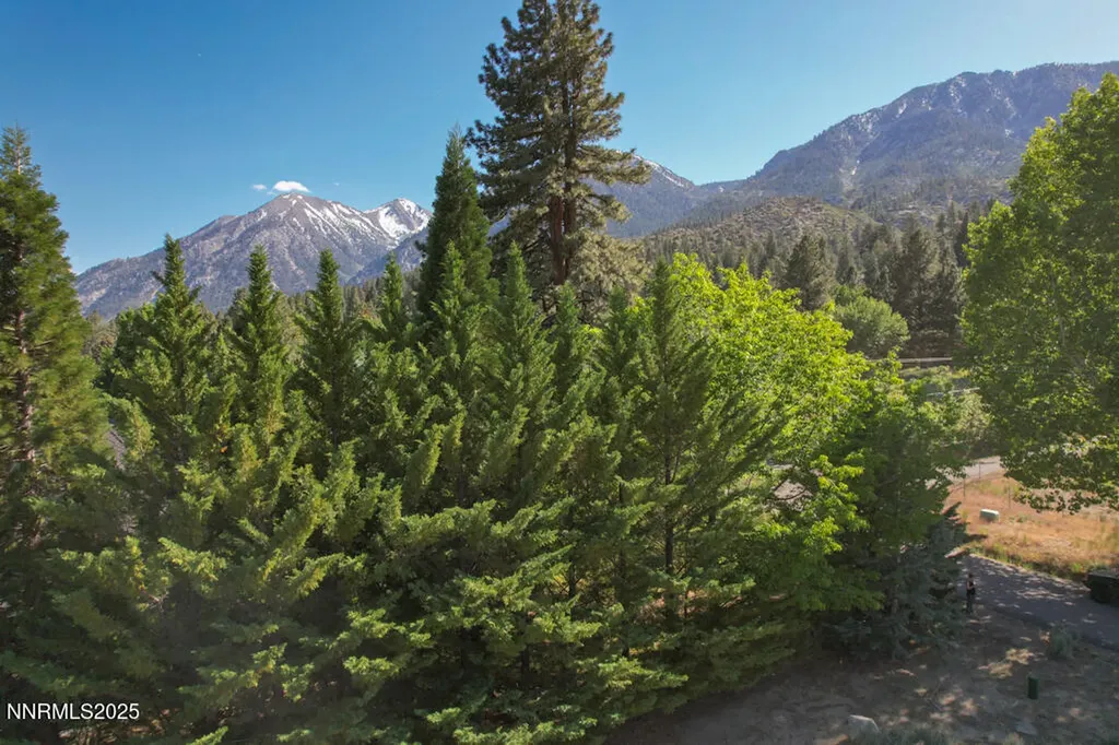 1147 Autumn Hills Gardnerville NV 89460
