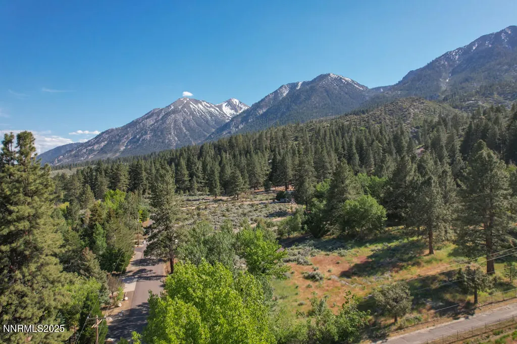 1147 Autumn Hills Gardnerville NV 89460