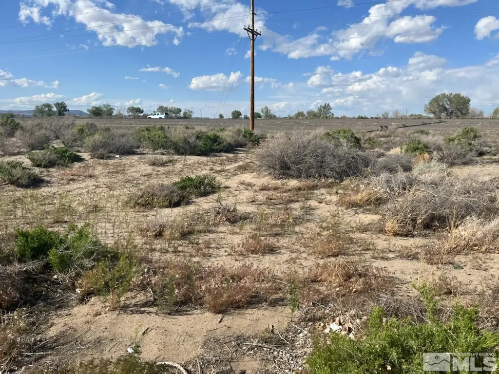 8780 Ara Fallon NV 89406