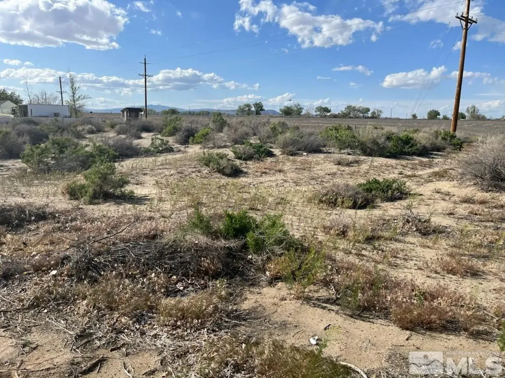 8780 Ara Fallon NV 89406