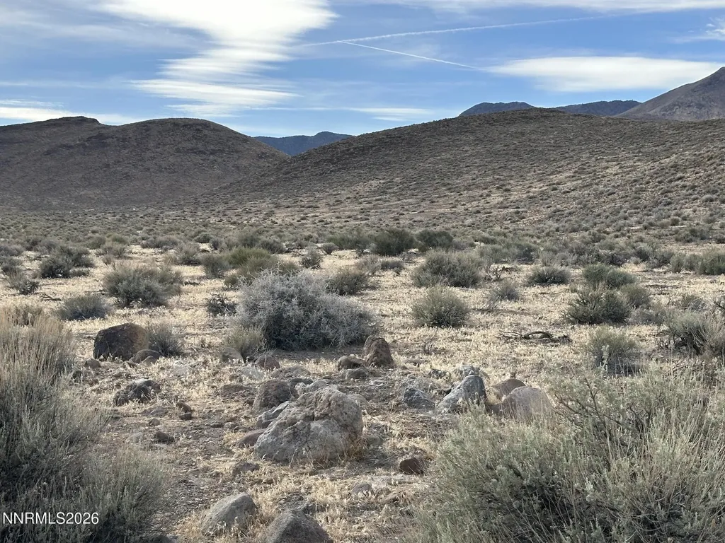 000 Quarter Horse Stagecoach NV 89429
