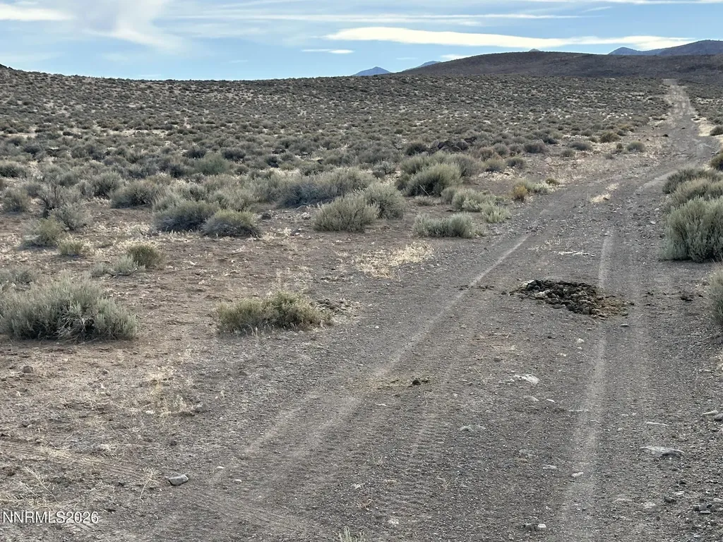 000 Quarter Horse Stagecoach NV 89429