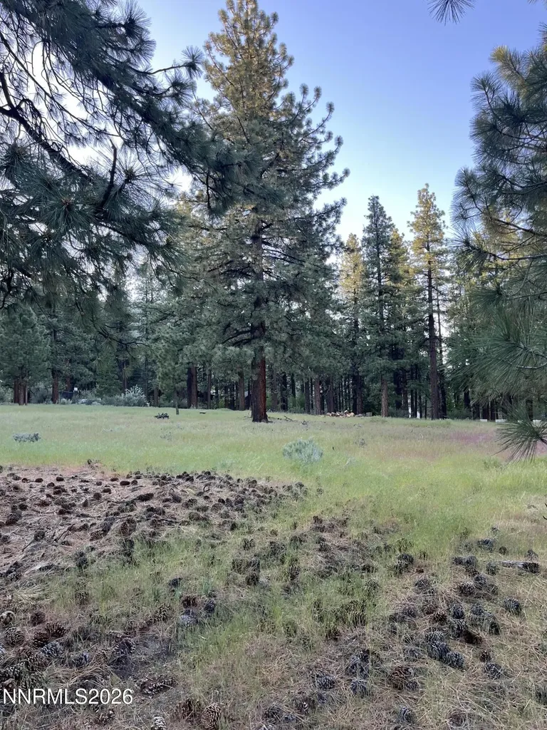 4300 Meadow Wood Carson City NV 89703