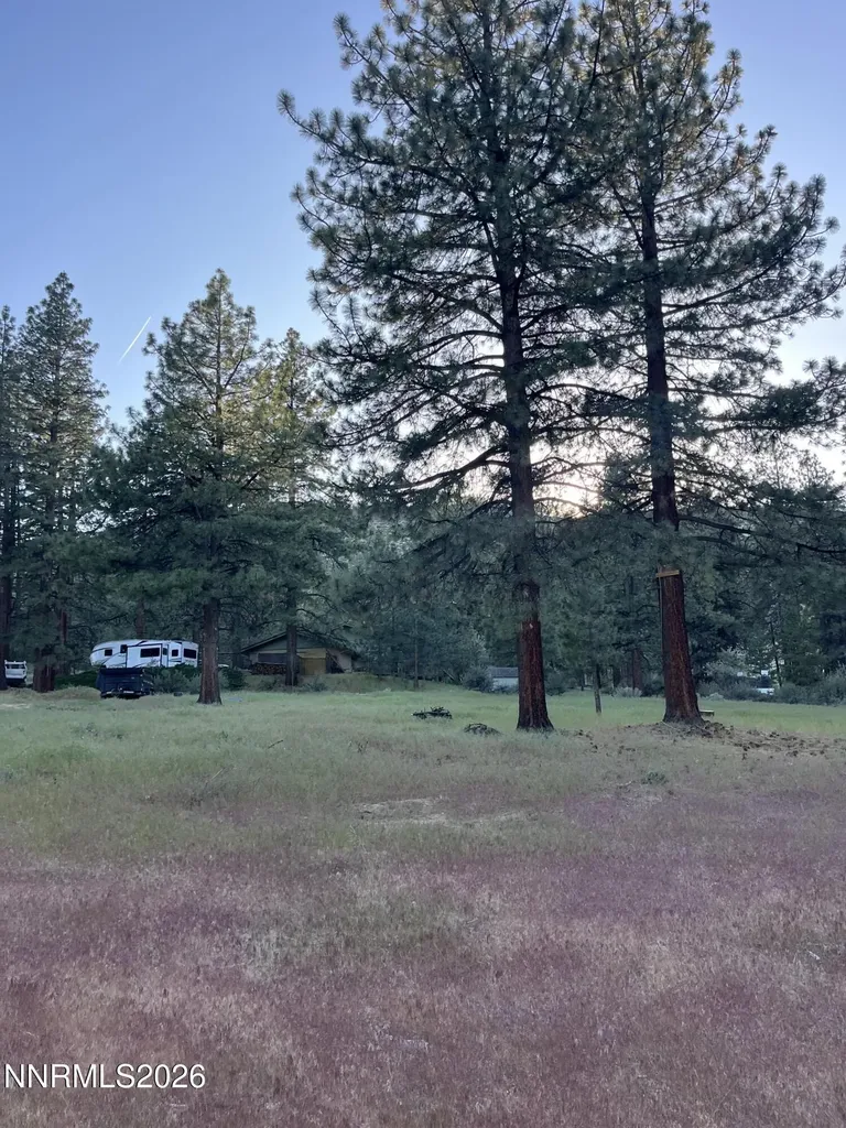 4300 Meadow Wood Carson City NV 89703