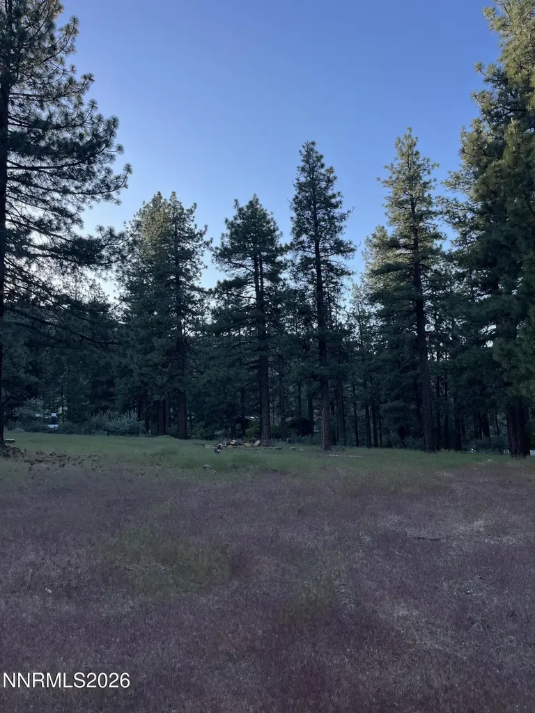 4300 Meadow Wood Carson City NV 89703