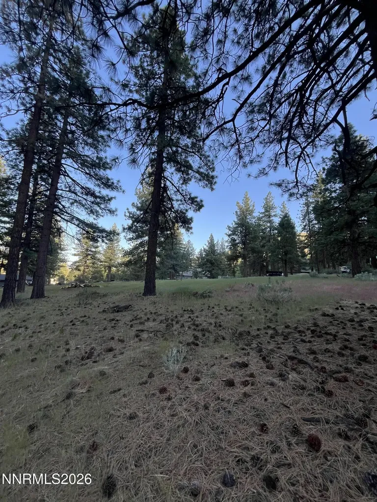 4300 Meadow Wood Carson City NV 89703