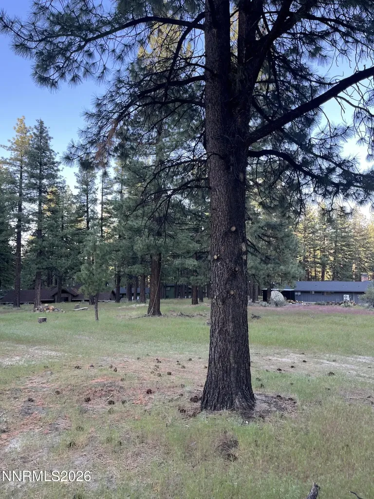 4300 Meadow Wood Carson City NV 89703