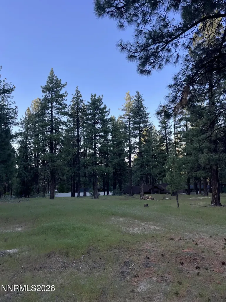 4300 Meadow Wood Carson City NV 89703