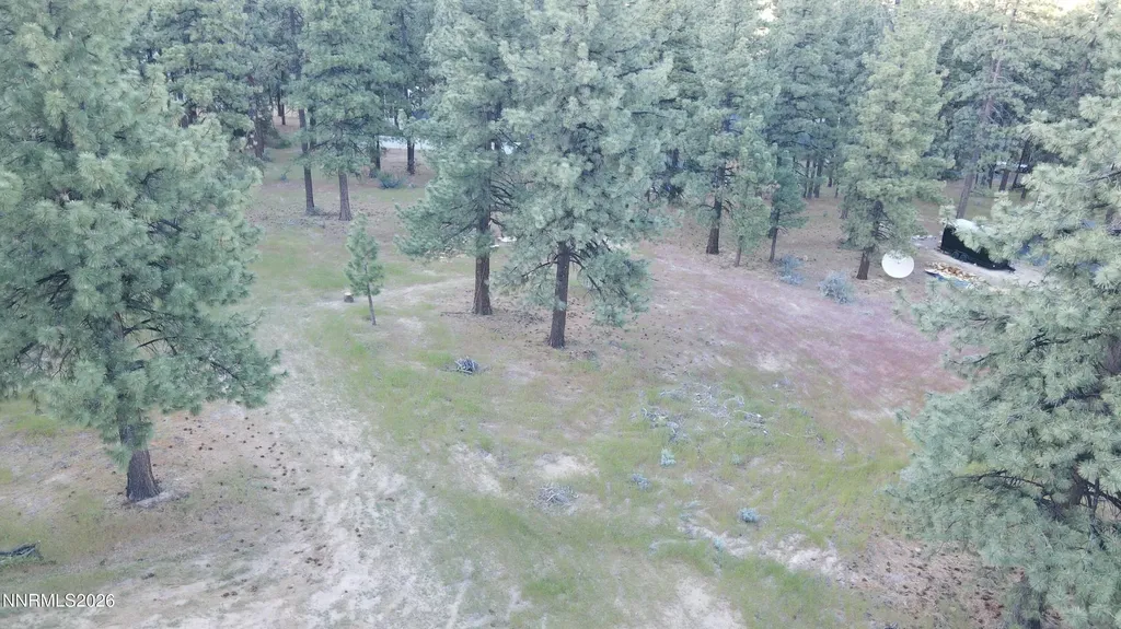 4300 Meadow Wood Carson City NV 89703