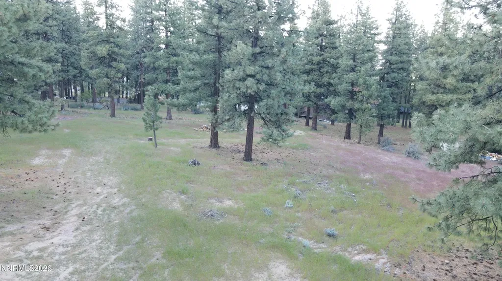 4300 Meadow Wood Carson City NV 89703