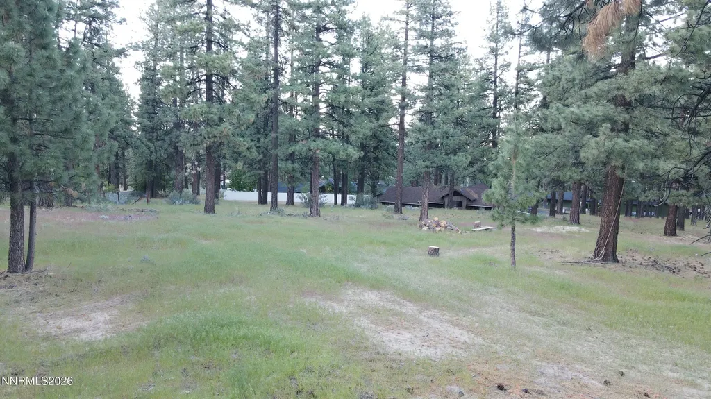 4300 Meadow Wood Carson City NV 89703