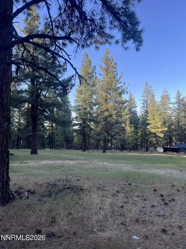 4300 Meadow Wood Carson City NV 89703