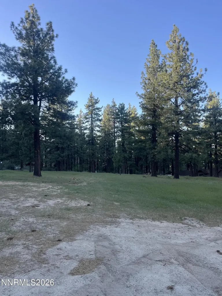 4300 Meadow Wood Carson City NV 89703