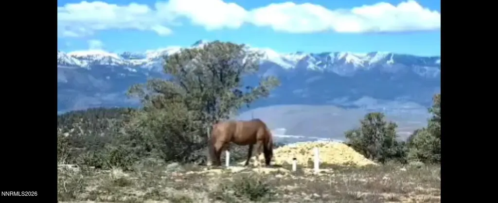470 Crestview Reno NV 89521