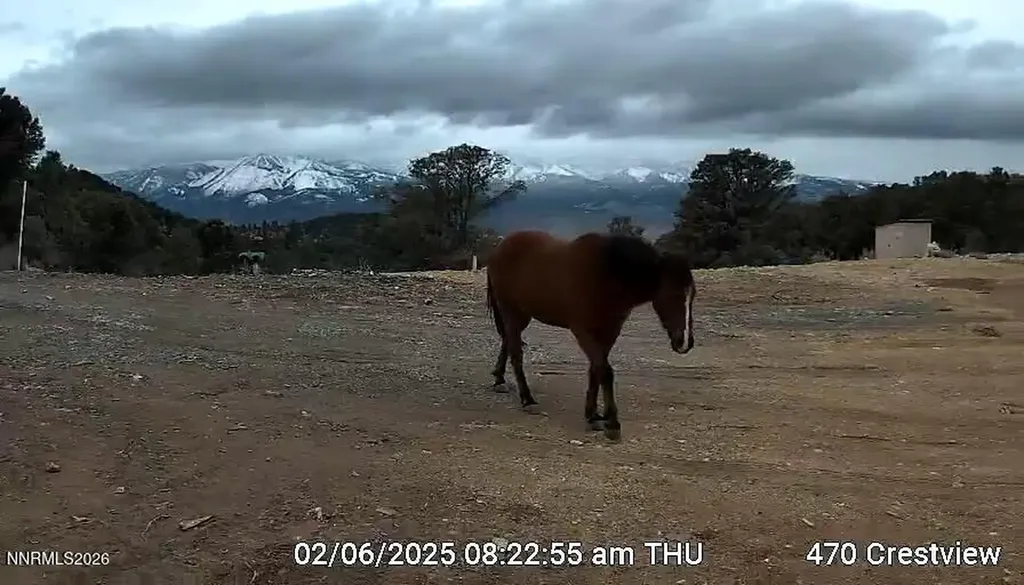 470 Crestview Reno NV 89521