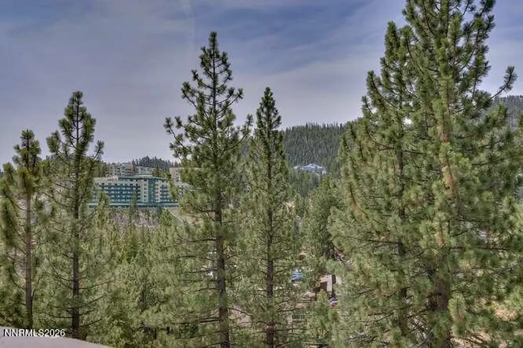 305 Olympic Stateline NV 89449