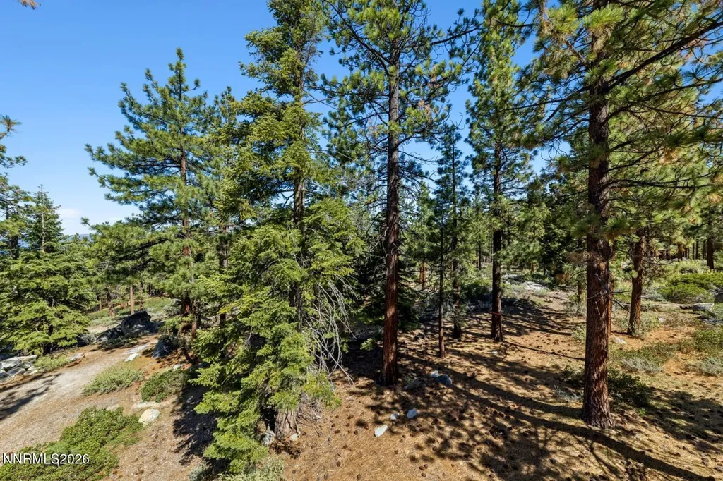 121 Holly Stateline NV 89449
