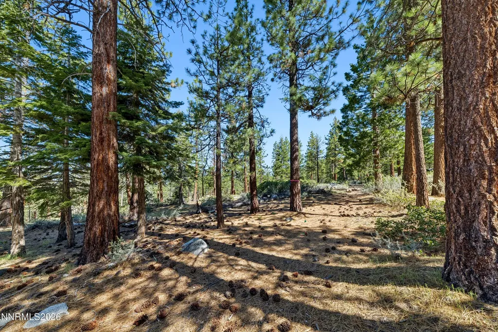 121 Holly Stateline NV 89449