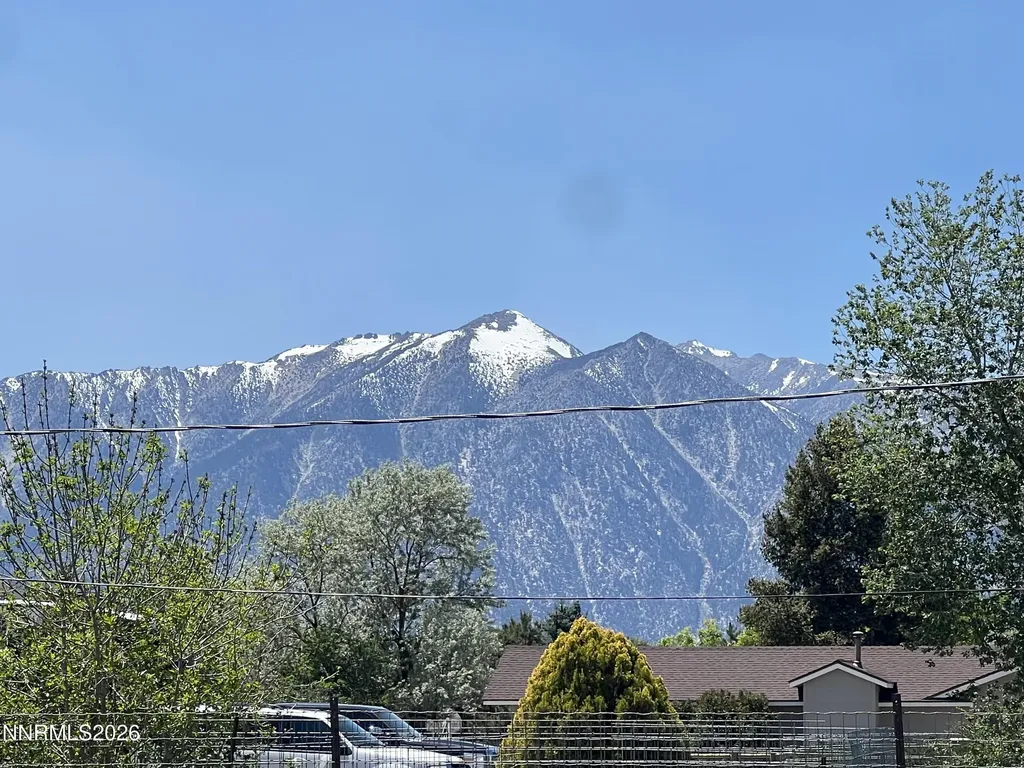 1909 Arabian Gardnerville NV 89410