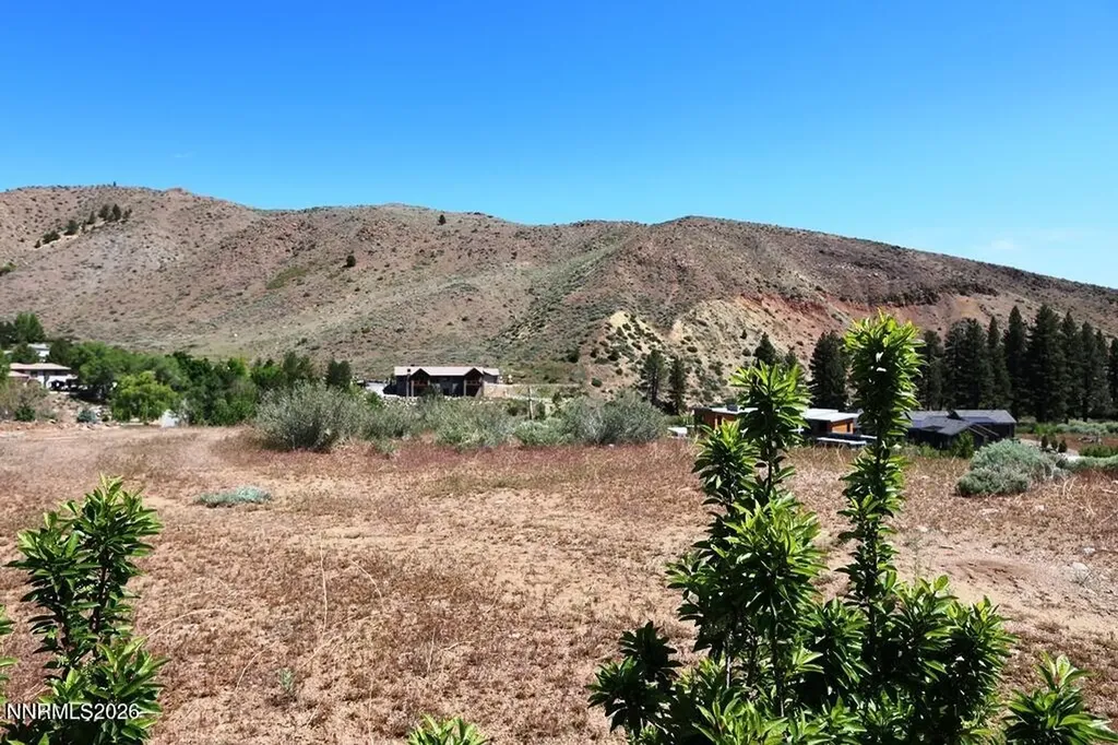 401 River Pines Verdi NV 89439
