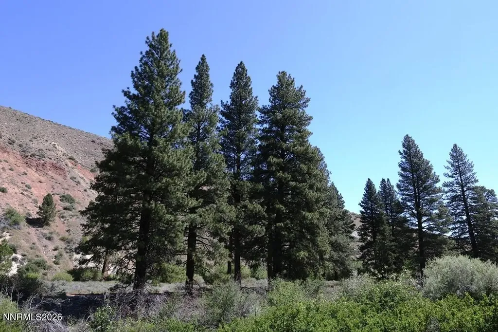401 River Pines Verdi NV 89439