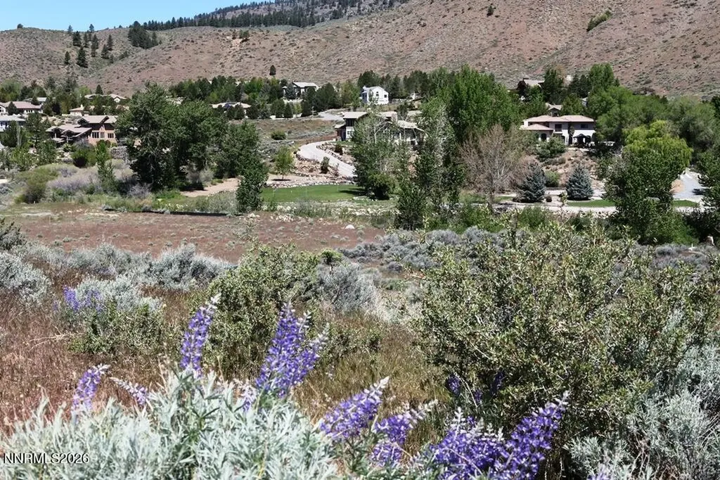401 River Pines Verdi NV 89439