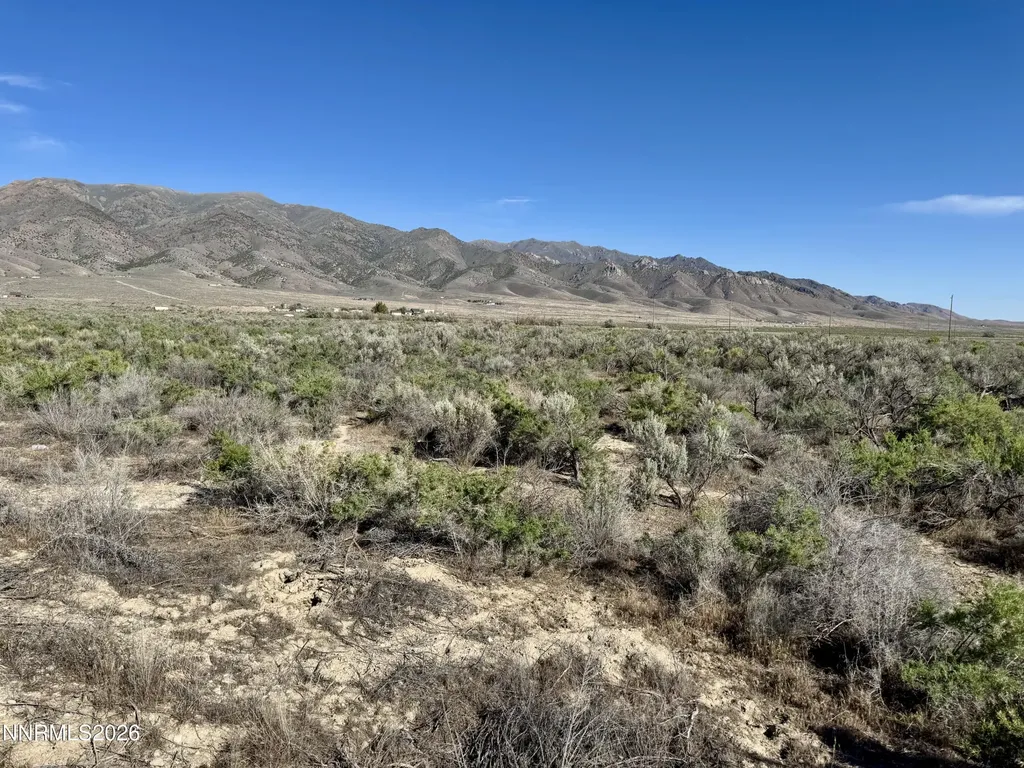 22560 Dorsey Lovelock NV 89419