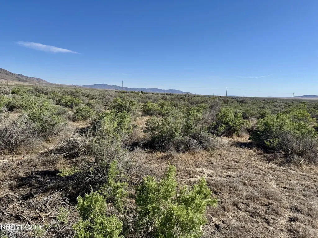 22560 Dorsey Lovelock NV 89419