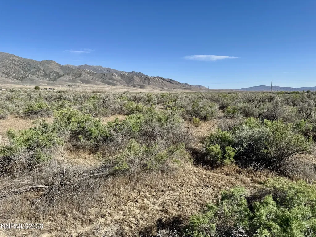 22560 Dorsey Lovelock NV 89419