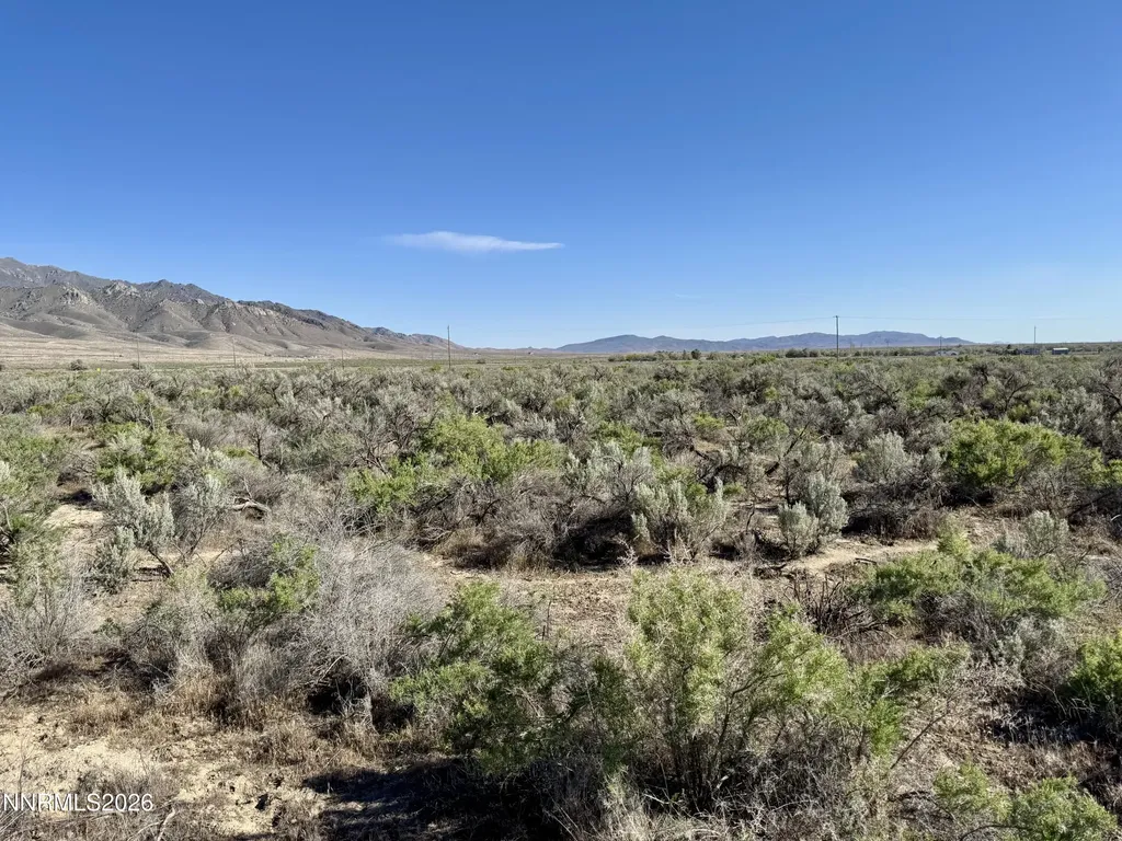 22560 Dorsey Lovelock NV 89419