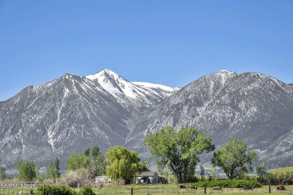 1764 Mahogany Minden NV 89423