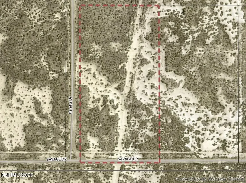 06-0498-34 Savage Winnemucca NV 89445