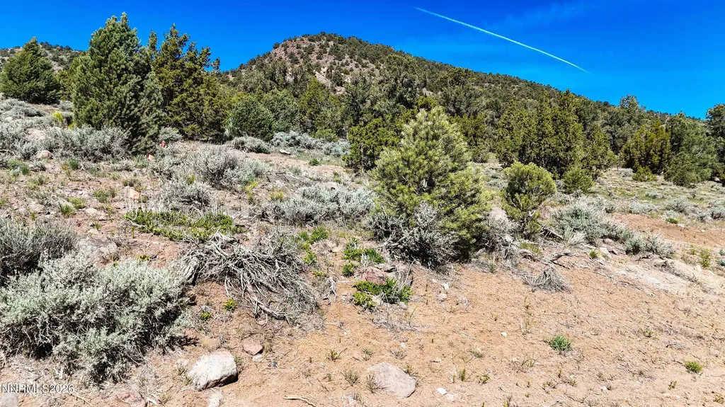 2120 Castle Peak Reno NV 89521