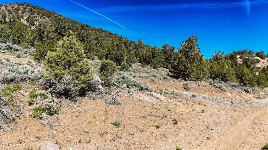 2120 Castle Peak Reno NV 89521